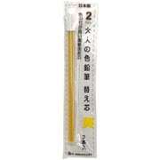 大人の色鉛筆13 替え芯 黄 3本入 OTP-IE150YE