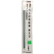 大人の色鉛筆13 替え芯 緑 3本入 OTP-IE150GR