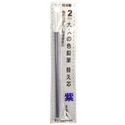 大人の色鉛筆13 替え芯 紫 3本入 OTP-IE150PL