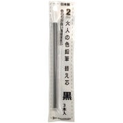 大人の色鉛筆13 替え芯 黒 3本入 OTP-IE150BK