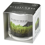 GD-933 グラストモスS