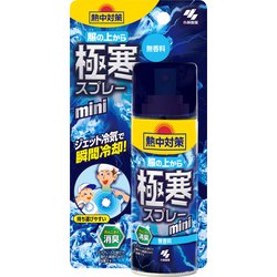 熱中対策 服の上から極寒スプレー ミニ 無香料 ジェット冷気で瞬間冷却 93ml