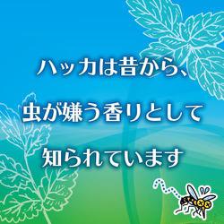 ヨドバシ.com - 金鳥 KINCHO お肌の虫よけプレシャワーDFミスト ヨドバシ.com - 金鳥 KINCHO お肌の虫よけプレシャワーDFミスト