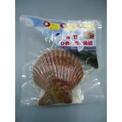 殻ごと茹でひおうぎ貝 1枚