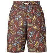 TRADITIONAL SHORT 425479 C106 ココナッツブラウン Mサイズ [アウトドア ショートパンツ メンズ]