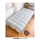 ISAP11A9 [グラウンドループBC BLUE]