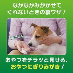 ヨドバシ.com - ライオンペット ペットキッス PETKISS 歯みがきシート