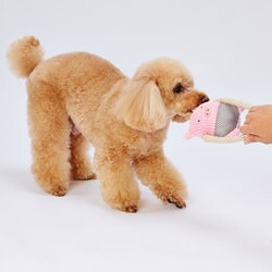 ヨドバシ Com ペティオ ふわふわデンタルロープぬいぐるみ ぶた 犬用おもちゃ 通販 全品無料配達