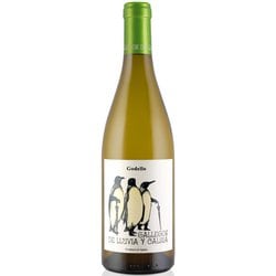 ガジェーゴス・デ・ジュビア・イ・カルマ ゴデージョ 750ml [白ワイン]