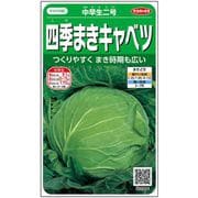 四季まきキャベツ 中早生二号 1袋