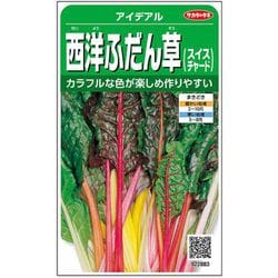 西洋ふだん草 スイスチャード アイデアル 1袋