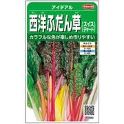西洋ふだん草 スイスチャード アイデアル 1袋