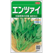 エンツァイ 約140粒 1袋