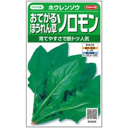 おてがるほうれん草 ソロモン 1袋