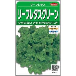 リーフレタスグリーン 1袋