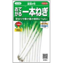 おてがる一本ねぎ 夏扇4号 1袋