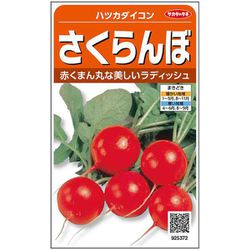 さくらんぼ ハツカダイコン 1袋