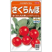 さくらんぼ ハツカダイコン 1袋