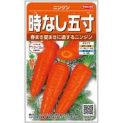 時なし五寸 にんじん 1袋