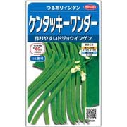 ケンタッキーワンダー つるありインゲン 約50粒 1袋