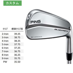 PING BLUEPRINT ブループリント　5番6番のみ