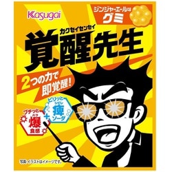 ヨドバシ Com 春日井製菓 覚醒先生 ジンジャエール味 29g 通販 全品無料配達