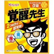 覚醒先生 ジンジャエール味 29g