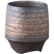 香酒盃 晶金かすり