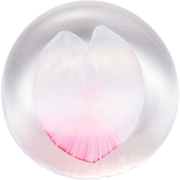 さくらさくら sakura花びら箸置 F79413