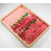 豊後おおいた 和牛焼肉食べ比べセット [産地直送品]