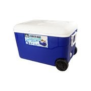 50Lクーラーボックス HAC2-0106 ブルー [アウトドア クーラーボックス]