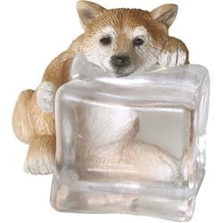 アイスアニマル シバイヌ DE047953