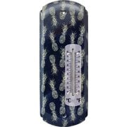 ビーチデザイン サーモメーター パイナップル ブルー BETHPIBL