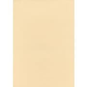 #16クリーム フル11 2.72m×11m