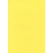 #23カナリー フル11 2.72m×11m