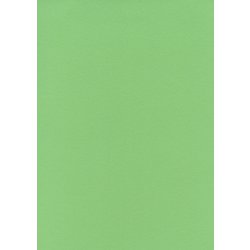 #29アップルグリーン フル11 2.72m×11m