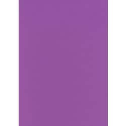 #76フューシャ フル11 2.72m×11m
