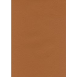 #10バーントアンバー フル25 2.72m×25m