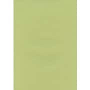 #11サニーグリーン フル25 2.72m×25m