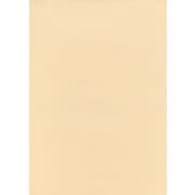 #16クリーム フル25 2.72m×25m