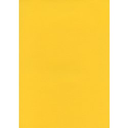 #20フォーシャ フル25 2.72m×25m