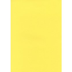 #23カナリー フル25 2.72m×25m