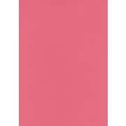 #77パンチ フル25 2.72m×25m