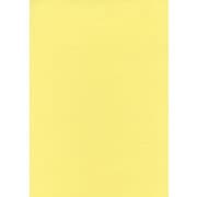 #78ダフォディル フル25 2.72m×25m