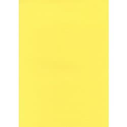 #23カナリー ハーフ11 1.36m×11m
