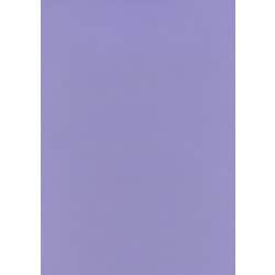 #47ラベンダー ハーフ11 1.36m×11m