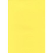 #23カナリー ハーフ2.5 1.36m×2.5m