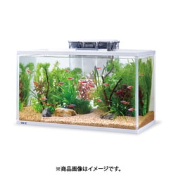 ヨドバシ Com Gex ジェックス スリムアクアホワイトセット500 通販 全品無料配達