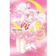 Pretty Guardian： Sailor Moon Vol.6/セーラームーン 6巻 [洋書ELT]