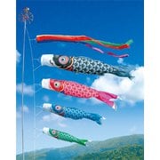 友禅鯉 大型セット 9m7点